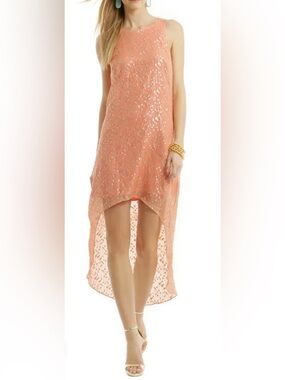 ERIN Coconut Rum Maxi dress silk asymmetrical hem sheer with lining sleeveless 0